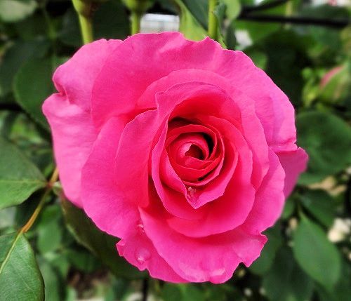 2016-04-24 15.51.04.jpg