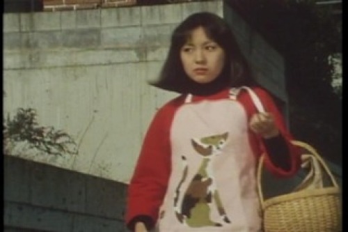 PDVD_019.jpg