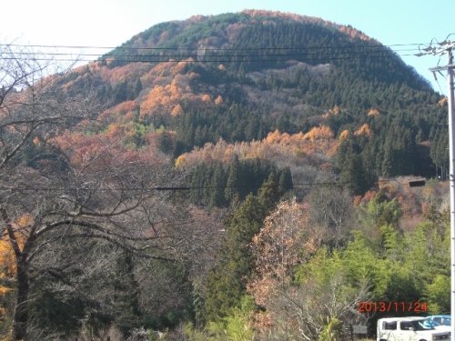 CIMG7073 (640x480).jpg