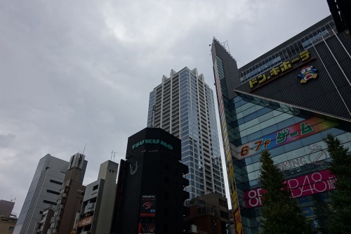 DSC03549.JPG