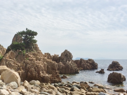 IMG_2189 (640x479).jpg