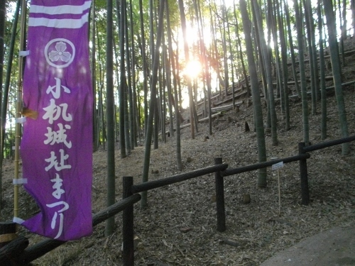 小机城搦め手腰曲輪 (500x375).jpg