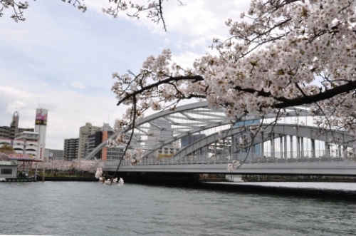 pict-大川桜宮橋　1.jpg