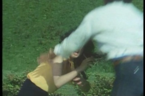 PDVD_012.jpg