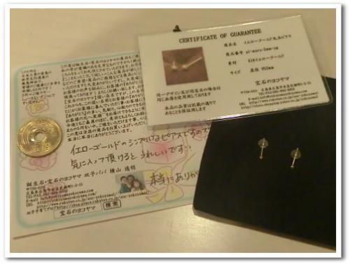 100円ピアス1.jpeg