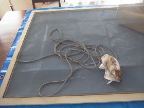 R0019154c.jpg