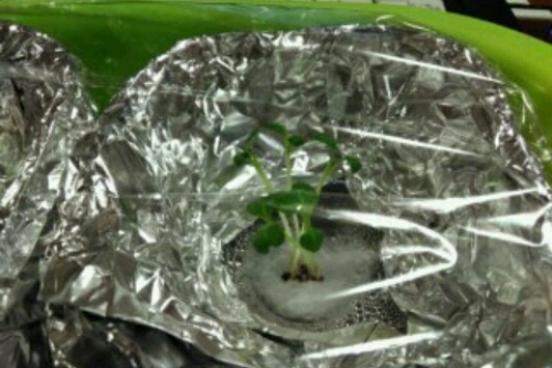 2016-11-25 18-42-34.jpg