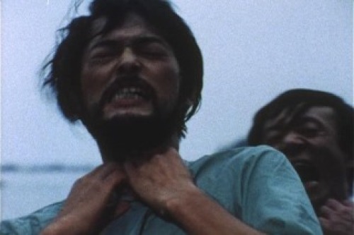 PDVD_001.jpg