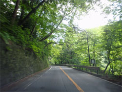 箱根66.jpg