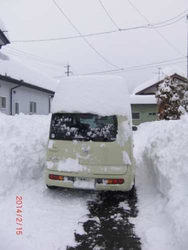 CIMG7122 (480x640).jpg