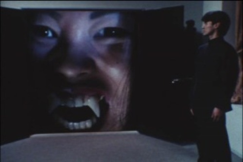 PDVD_005.jpg