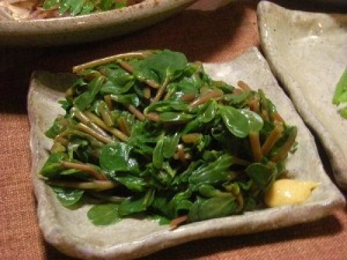 DSCN1481 (300x225).jpg