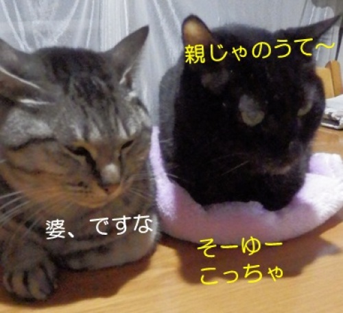 201400130_4.jpg