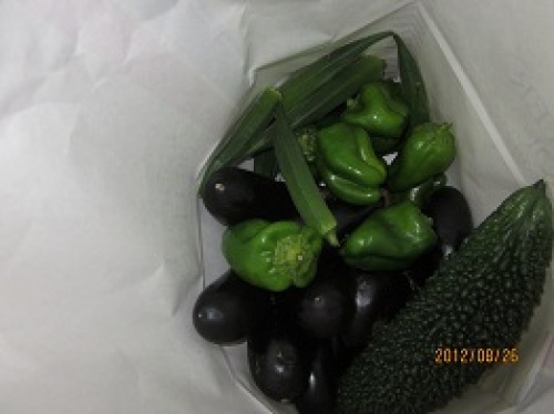 IMG_2957お土産野菜.jpg
