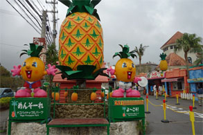 沖縄652.jpg