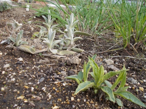 DSCN0307 (640x480).jpg