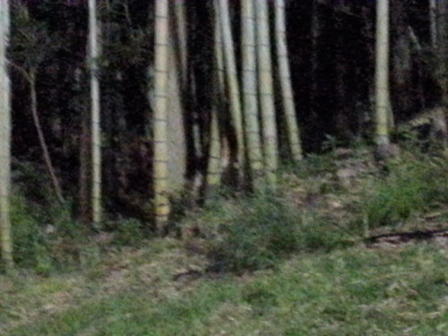 20130726_204608.jpg