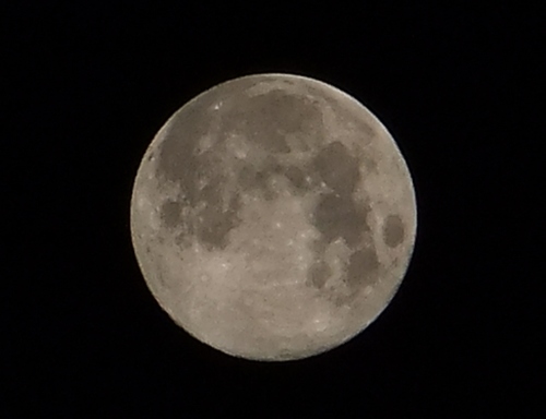 12-09-01 Blue Moon (12-08-31) 02