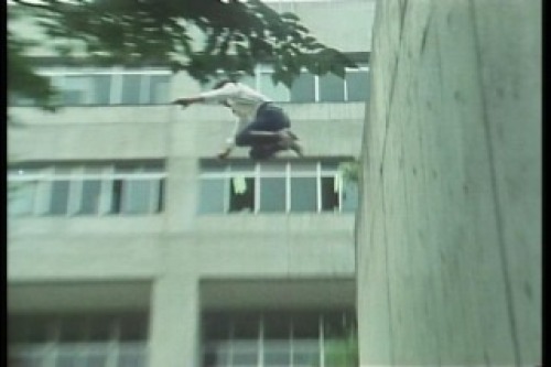 PDVD_004.jpg
