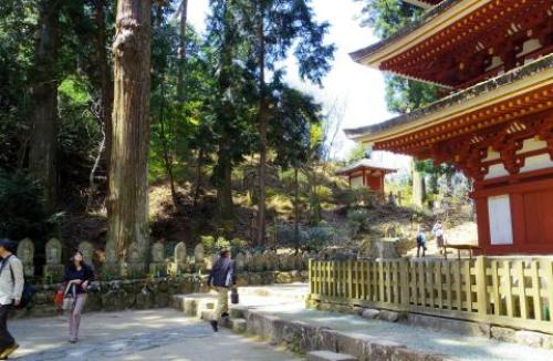 pict-室生寺 28.jpg