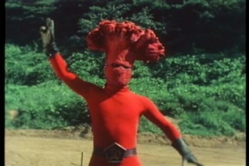 PDVD_006.jpg