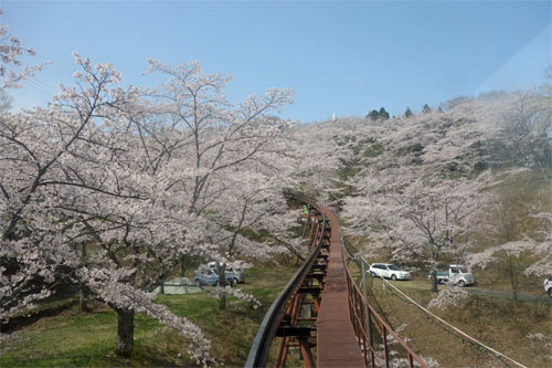 船岡31.jpg