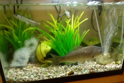 2016-06-11 20-06-06.jpg