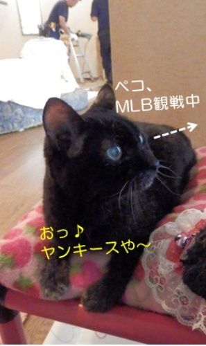 20140801_6.jpg