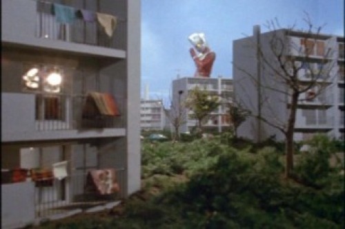 PDVD_033.jpg