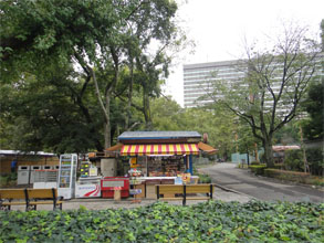 日比谷公園10.jpg