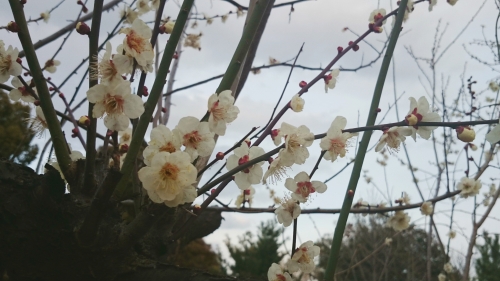CYMERA_20170404_110212.jpg