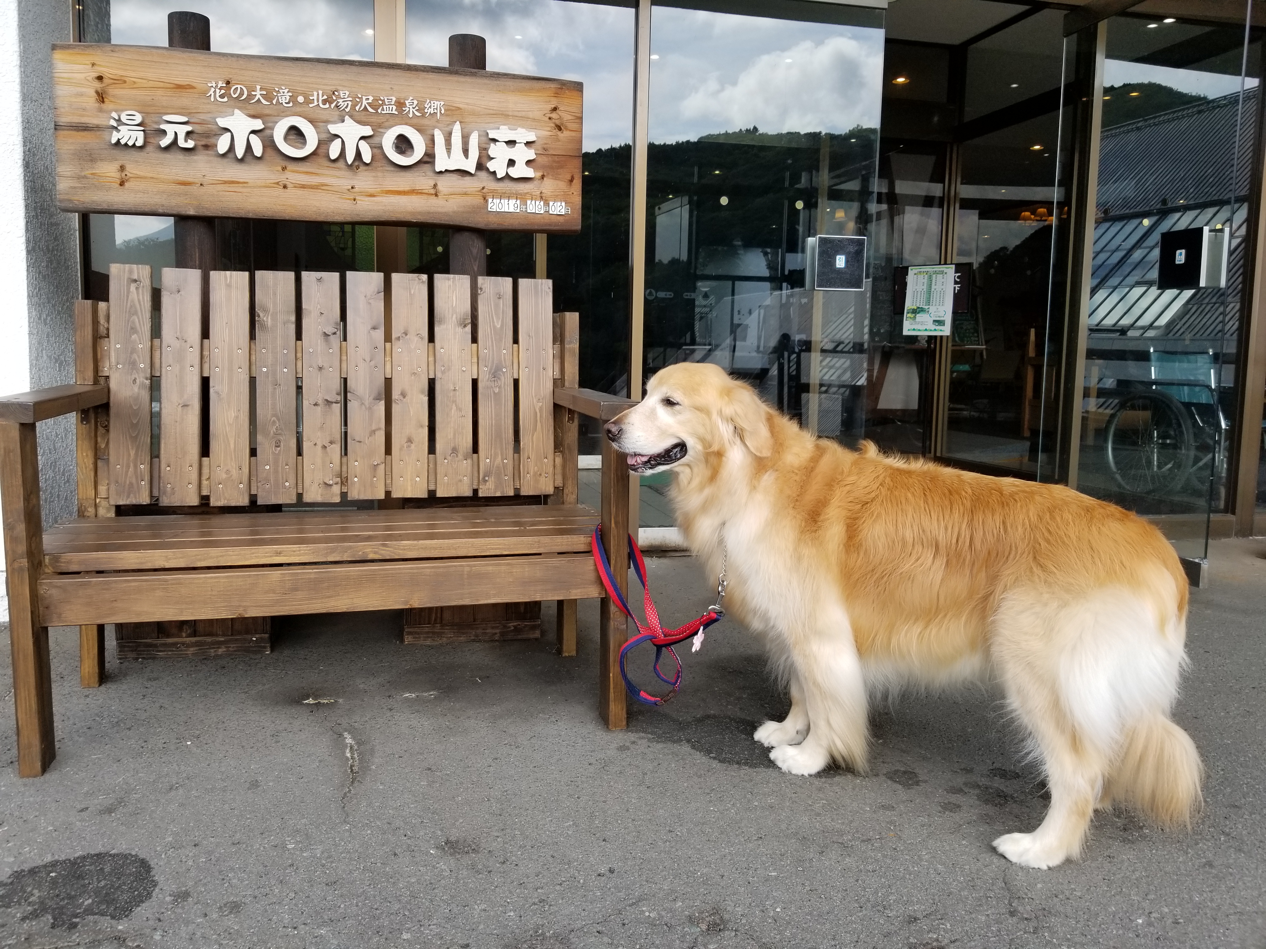 大型犬と泊まれる宿 北海道 楽天ポイント貯めてます 楽天ブログ