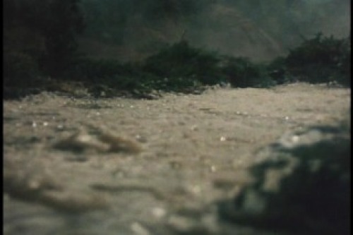 PDVD_009.jpg