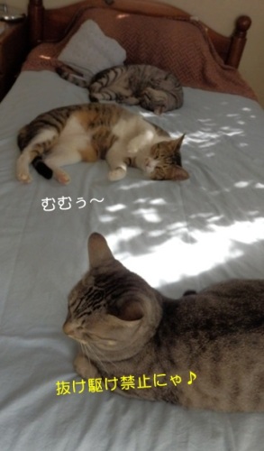 20140908_3.jpg