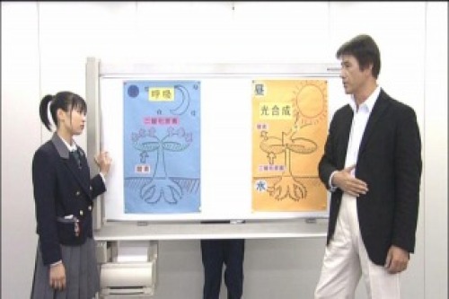 PDVD_014.jpg
