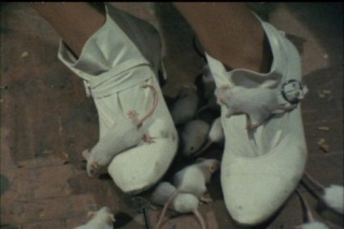 PDVD_009.jpg
