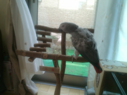 3 待ちに待った･･スタンド♪.JPG