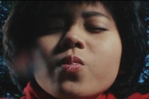PDVD_022.jpg
