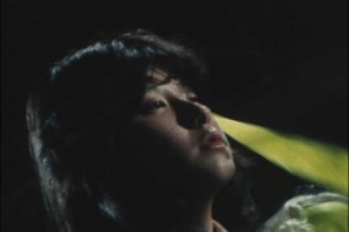 PDVD_027.jpg
