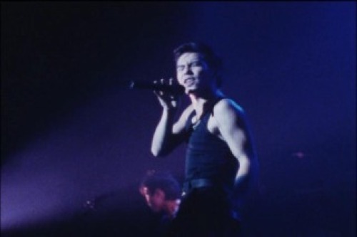 PDVD_293.jpg