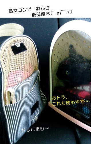 20150123_3.jpg
