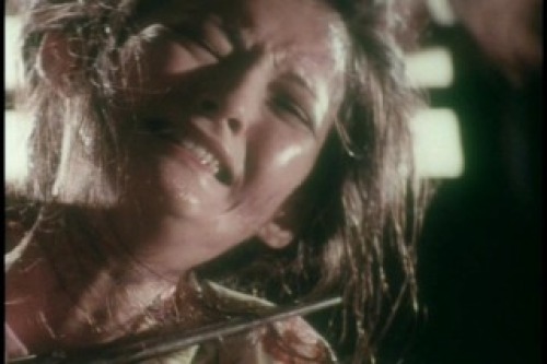 PDVD_006.jpg