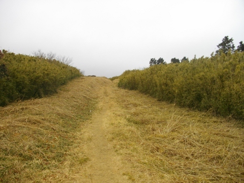 箱根外輪山海ノ平 (3) (500x375).jpg