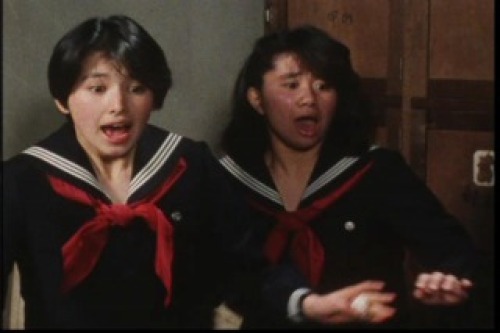 PDVD_046.jpg