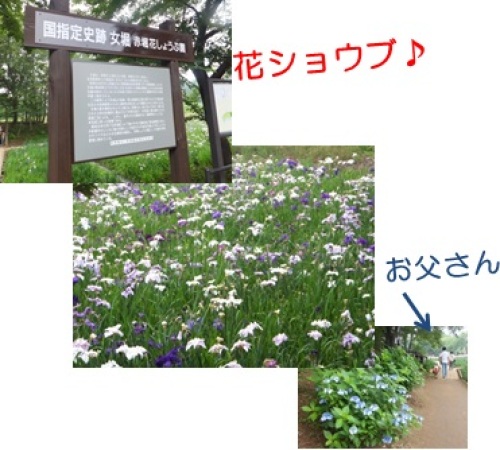 20130622_2.jpg