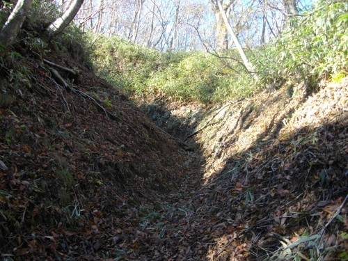 箱根外輪山 (17) (500x375).jpg