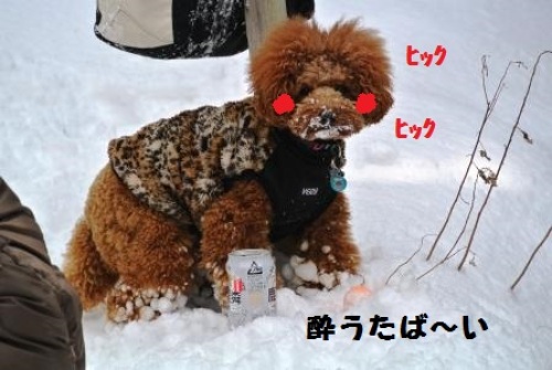みんなで雪遊び (68).JPG