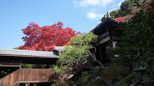P1050242.jpg