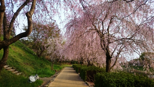 CYMERA_20160427_182453.jpg