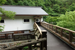 金山23.jpg